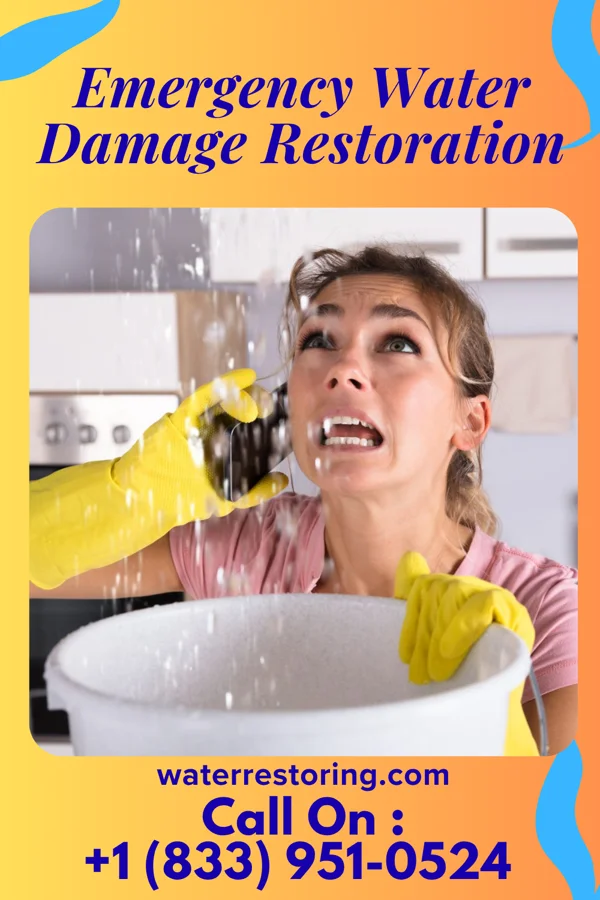 Emergency Water Damage Restoration in Lowrys, SC