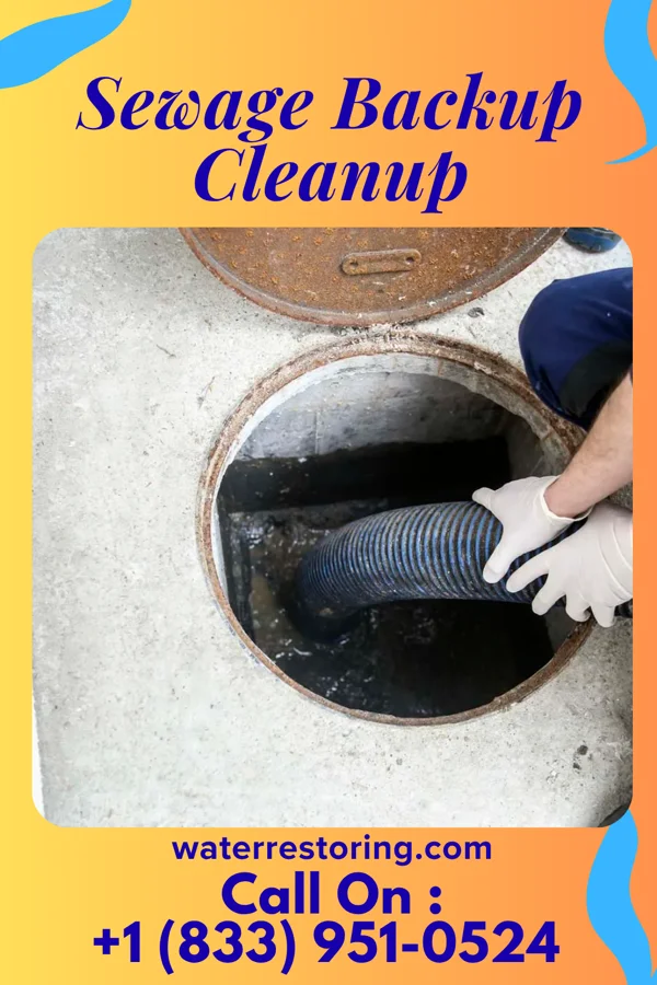 Sewage Backup Cleanup in Lowrys, SC